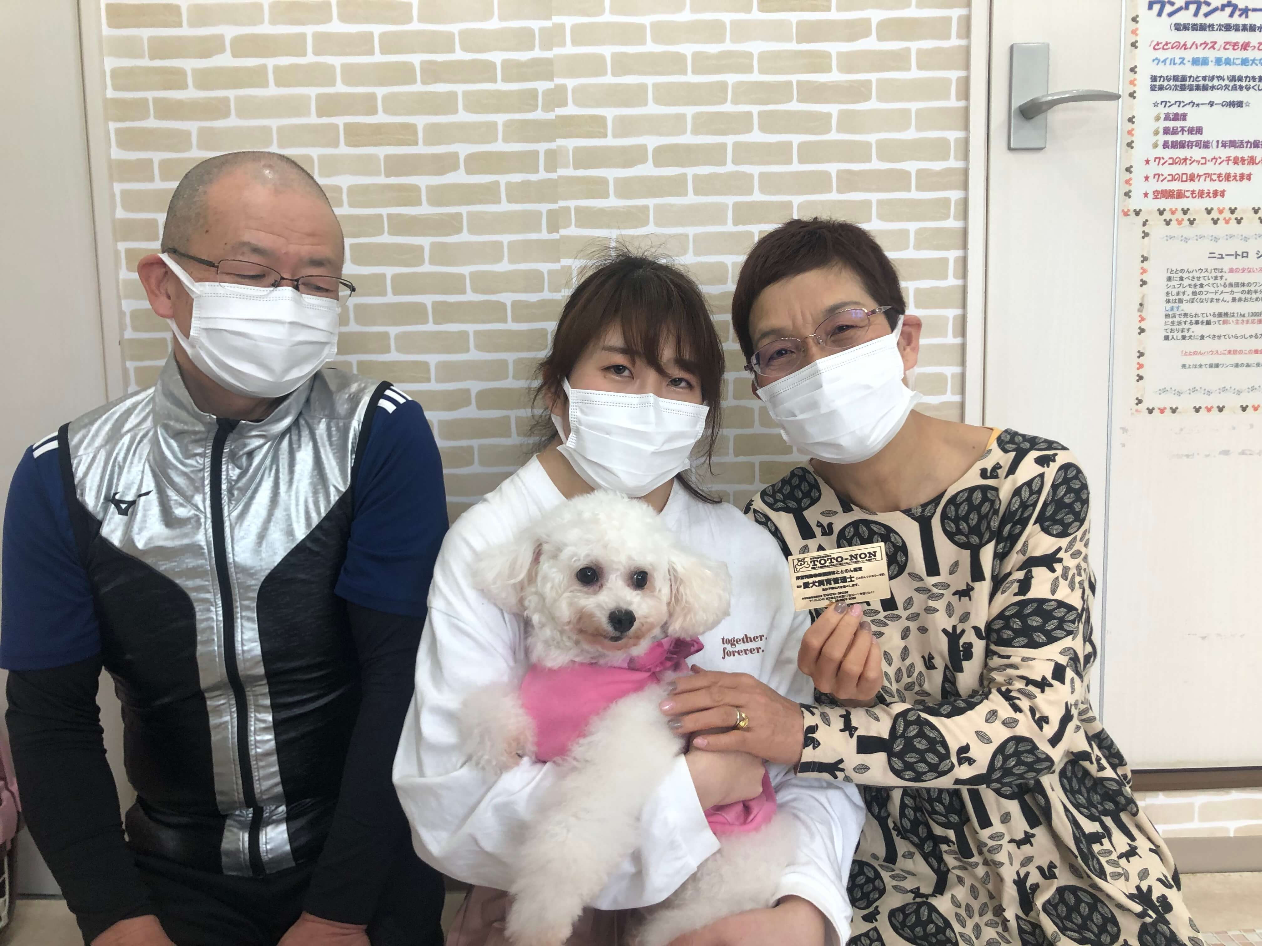 保護犬 里親 ととのんハウス