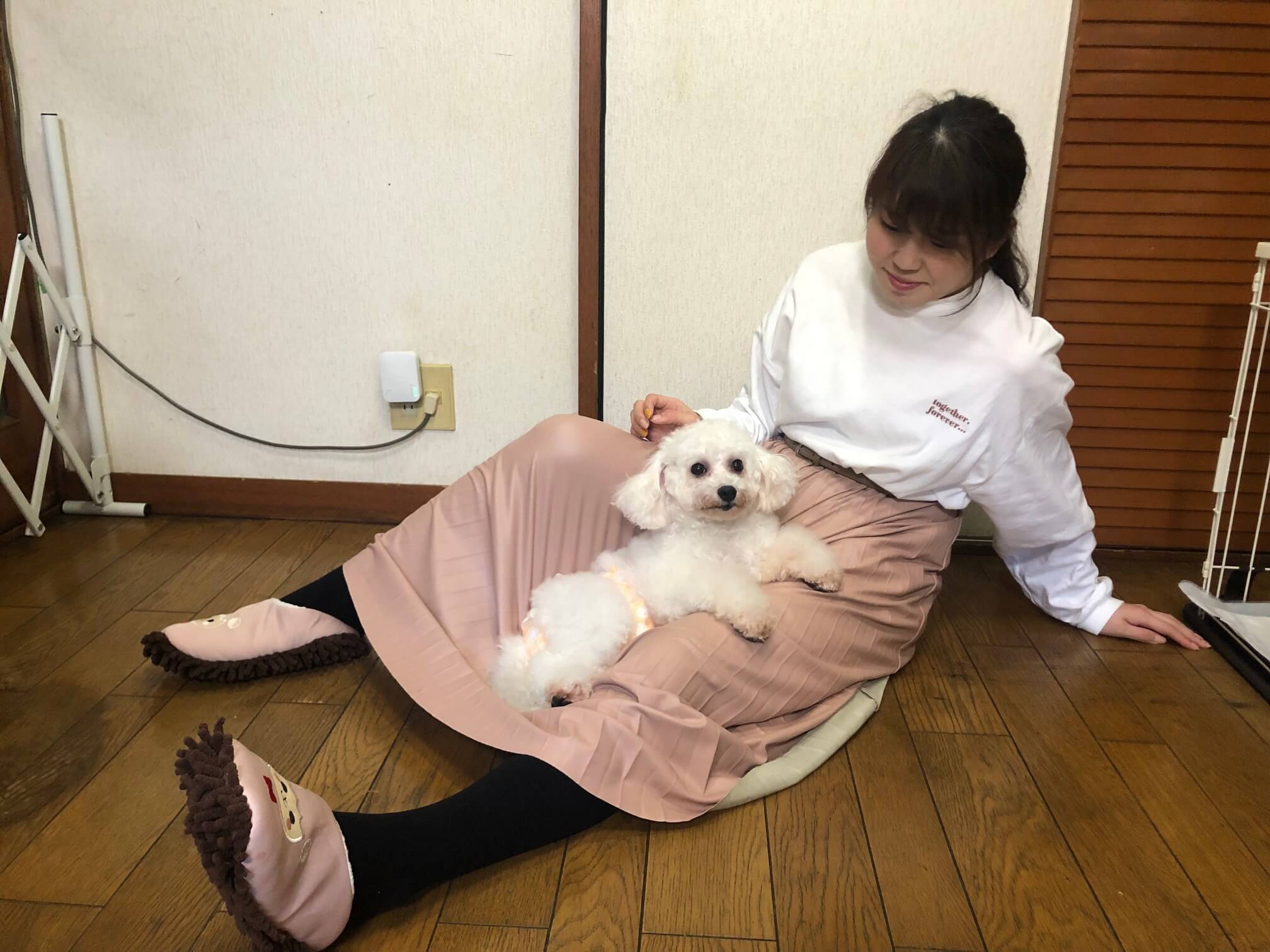 保護犬 里親 ととのんハウス
