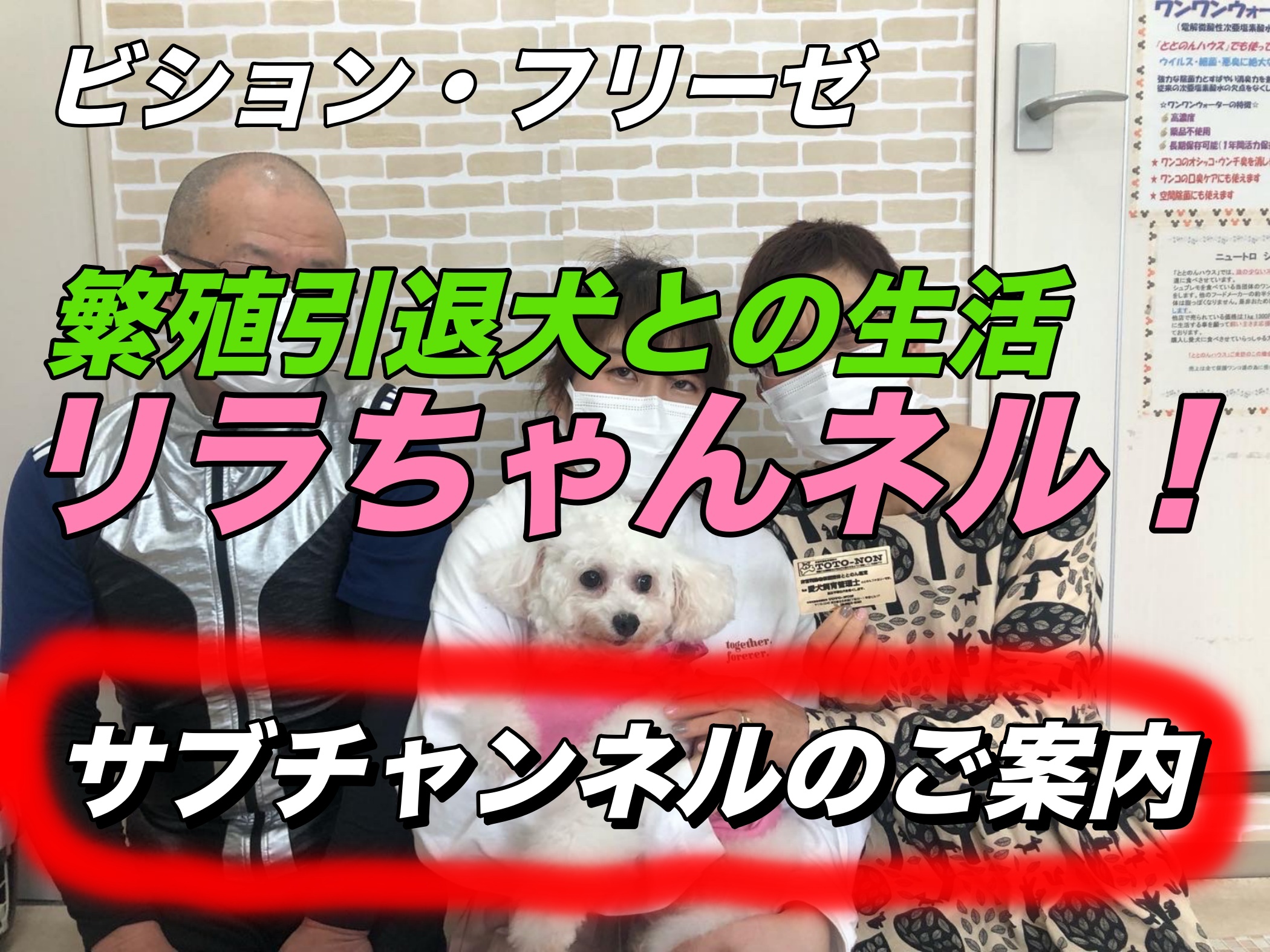 【動画】サブチャンネル「繁殖引退犬との生活　リラちゃんねる」を始めました！